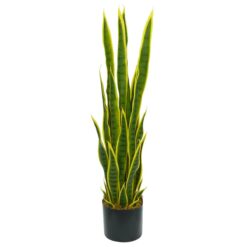 Sansevieria Artificiale, 3 Misure
