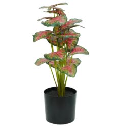 Pianta Calathea Rossa Artificiale, 2 Misure