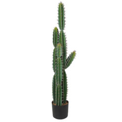 Cactus Decorativo Artificiale in PE, 2 Misure