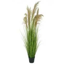 Pianta Pampas Artificiale, 2 Misure