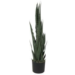 Sansevieria Artificiale in PE, 2 Misure