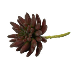 Fiore di Pianta Grassa Artificiale Bordeaux H.15 cm