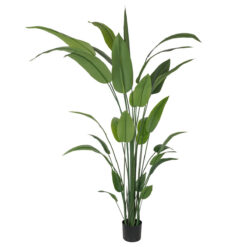 Strelitzia Reginae Artificiale in PE, 4 Misure